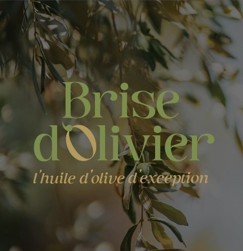 Brised'olivier-Eclosion-Creative-studio-482x497px